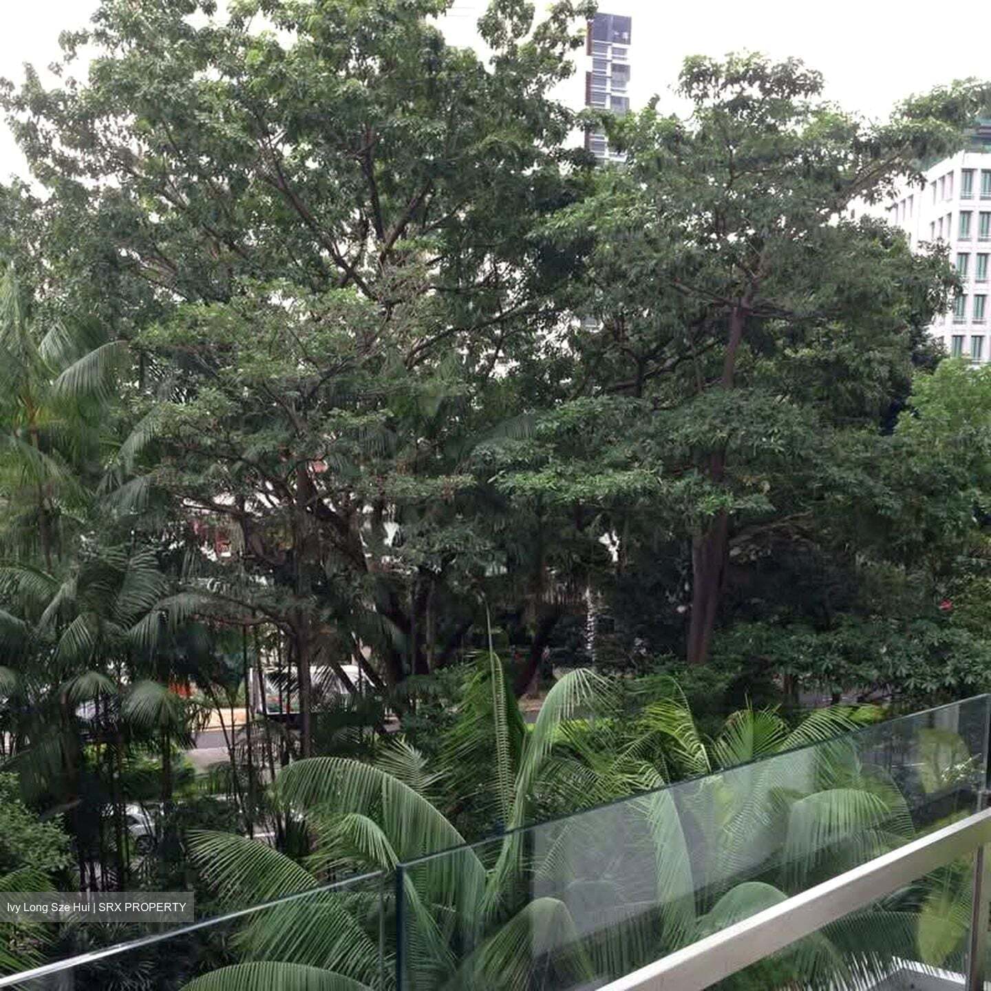 Grange Residences (D10), Condominium #564745951